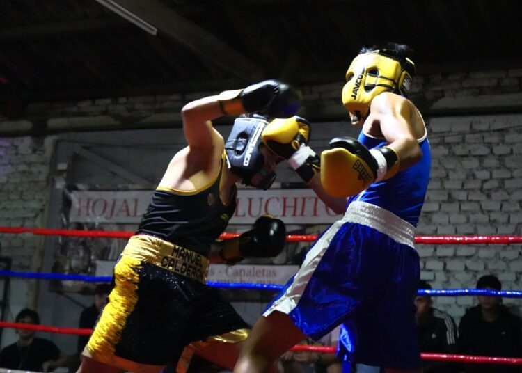 Puños rumbo al Norte: Talca vibra con velada previa al Nacional cadete