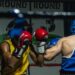 El boxeo se toma Talca con la segunda fecha del Campeonato de los Barrios “Guantes de Oro”