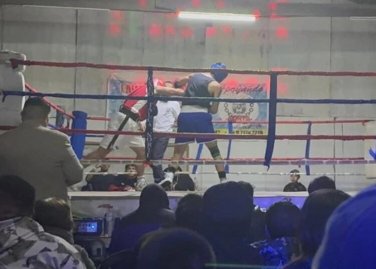 Llegó la hora de la verdad: Campeonato de los barrios “Guantes de Oro” disputará sus finales