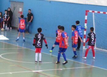 Inscripciones abiertas en Liga Regional de futsal infantil en el Maule
