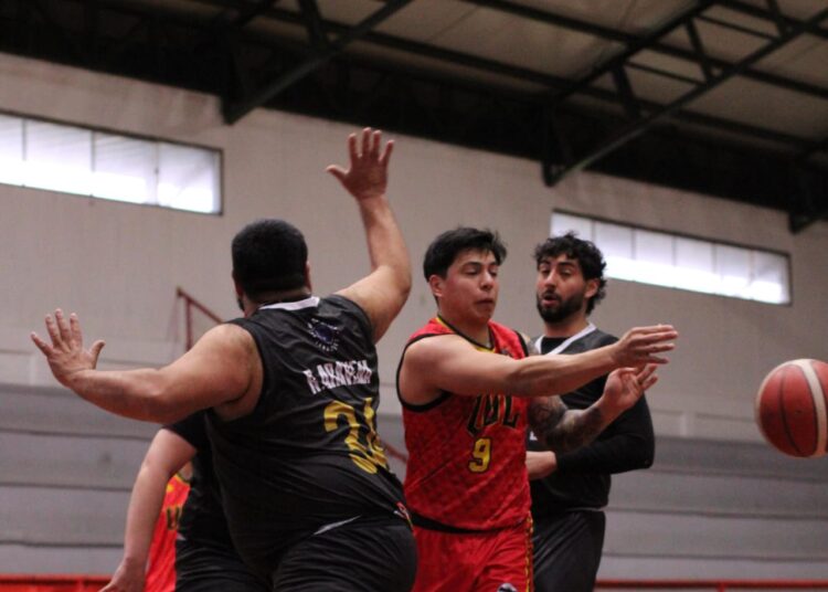 Se vienen los play offs de la Liga 7 Masculina 2025