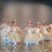 Talento maulino deslumbra en el escenario nacional: Escuela de Ballet Gonzalo Vera se presentó en All Dance Chile
