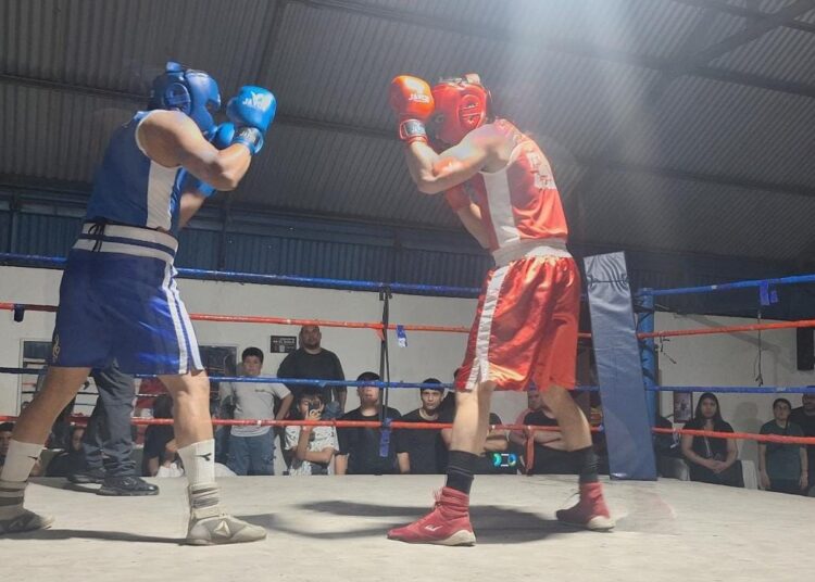 Campeonato Anual de Boxeo de Talca prepara las semifinales y finales del certamen respaldado por el Gore Maule