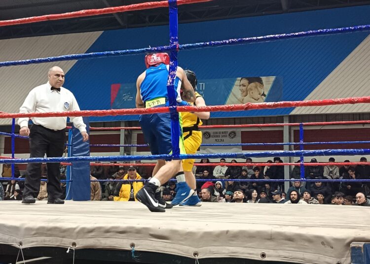 Boxeo local entra en su fase decisiva: Semifinales del Campeonato Anual serán este sábado y entrada gratis