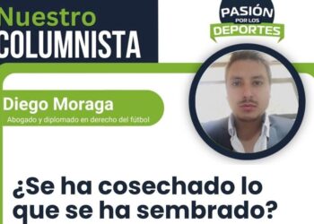 ¿Se ha cosechado lo que se ha sembrado?