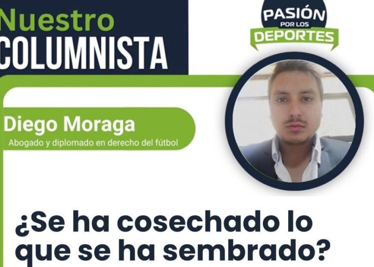 ¿Se ha cosechado lo que se ha sembrado?