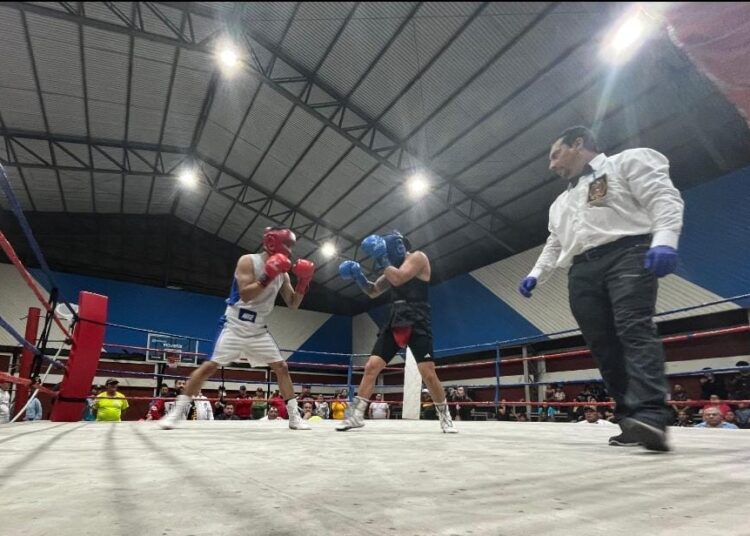 Entrada gratuita:Boxeo local define a sus campeones con respaldo del Gobierno Regional del Maule
