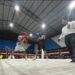 Entrada gratuita:Boxeo local define a sus campeones con respaldo del Gobierno Regional del Maule