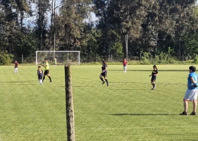 “Viva el deporte en Santa Elena 2025”: fútbol y actividad física para las niñas y niños de este sector de San Clemente