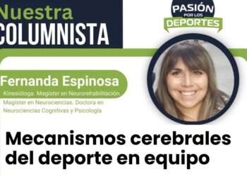 Mecanismos cerebrales del deporte en equipo