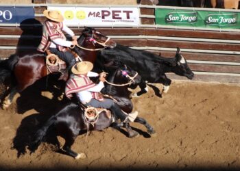 ¿A favor o en contra del rodeo?: El Champion de Chile se prepara para celebrar su edición número 77 en Rancagua
