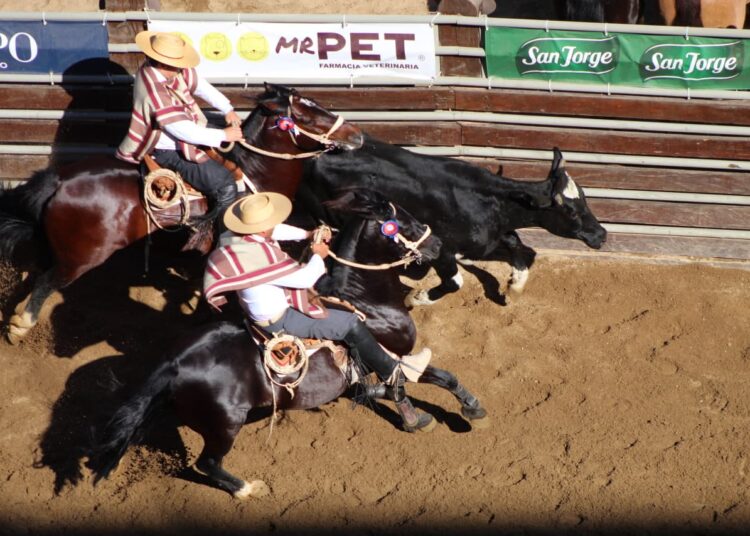¿A favor o en contra del rodeo?: El Champion de Chile se prepara para celebrar su edición número 77 en Rancagua