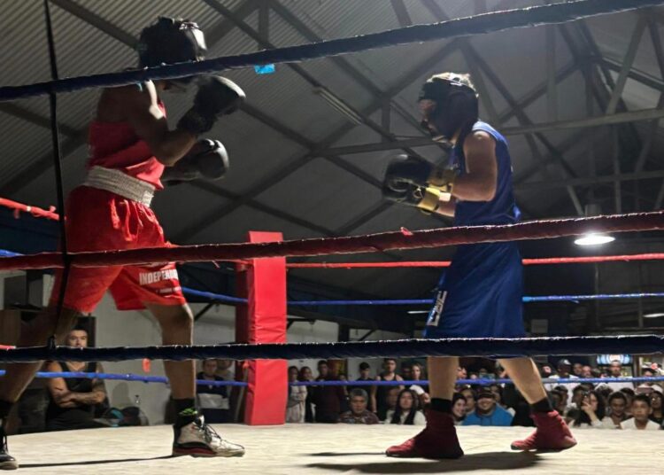 Club de Boxeo Independiente festejará su aniversario con gran velada interclubes en Talca