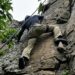 Talca prepara capacitación para fortalecer la seguridad en rappel y trekking