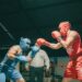 Noche de Boxeo promete intensas peleas en el gimnasio del Club Independiente de Talca